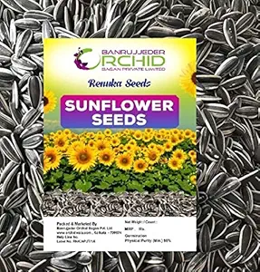 Sunflower Seeds for Bird 800 Gram by Renukas Seeds, White Striped Sunflower