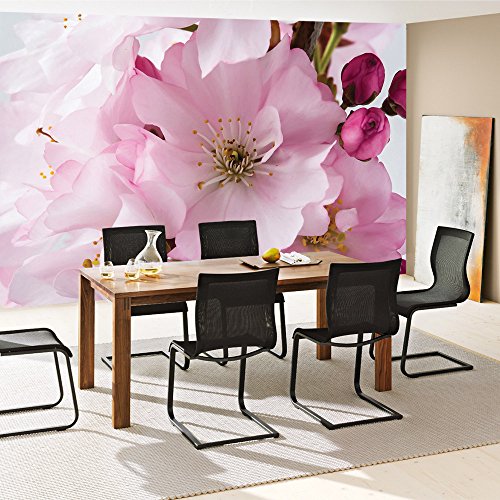 Vlies Fototapete 350×245 cm PREMIUM PLUS Wand Foto Tapete Wand Bild Vliestapete – Blumen Tapete Blumen Blüte Kirschblüte Natur rosa – no. 1112 - 7