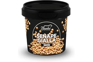 BEMBO QUALITÀ D'AUTORE Semi Bembo: Semi di Senape Gialla 100g – Aggiungi un Tocco di Piccantezza ai Tuoi Piatti – Confezione Anti-Spreco, Anti-Ossidazione, Riutilizzabile e Riciclabile