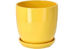 KOTARBAU® Pot de Fleurs en céramique pour Plantes Diamètre 15 cm avec bac d'égouttement Jaune