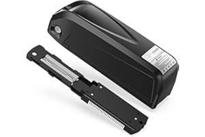 Varstrom Ebike Batterie 48V 20Ah avec 4A Chargeur, Serrure de Sécurité, Indicateur de Batterie, Connecteur XT60 pour 1000W 750W 500W 250W Kit de Conversion pour Vélo électrique