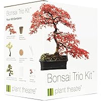 Plant Theatre Bonsai Trio Kit