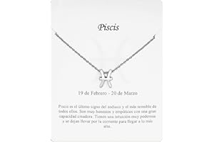 ONLY FAITH Collana segno zodiacale in acciaio inox bella carta significato segno zodiacale ciondolo oroscopo per donna o uomo regalo compleanno