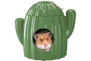 BUCATSTATE Keramikhaus für Hamster, Kaubares Versteck Tunnel in Kaktusform Großen Eingängen, Kühles Bett, ideal für den Sommer per Chinchilla, Ratte, Mäuse, Rennmäuse (L)