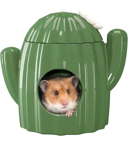 Fhiny Hamsterversteck Aus Holz – Mit Leiter, 2 Kammern, 19,8x19,8x9,4 Cm, Für Kleintiere