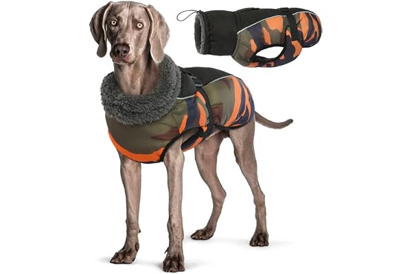 Manteau d'hiver pour Chien, Veste ImperméAble pour Chien, Veste d'hiver Chaude avec Doublure en Polaire, Manteau RéFlecteur Ajustable Et Confortable avec Trou pour Harnais pour Petits Et Moyens Chien