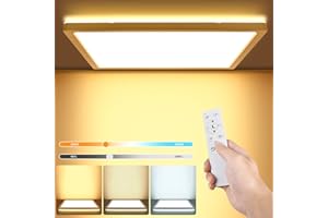 LEZOE LED Deckenleuchte Dimmbar mit Fernbedienung, 18W 1800lm Flach LED Deckenlampe Dimmbar, 3000-6500K H2.5cm Dünn, IP54 LED Panel für Wohnzimmer Badezimmer Schlafzimmer Küche Keller Balkon 22x22x2.5cm