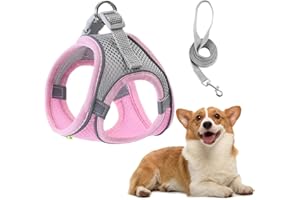 EODKSE Pettorina Gatto con Guinzaglio Antifuga e Rivestimento Riflettente - Regolabile per Cuccioli o Gatti Passeggiate all'aperto - 1pcs,