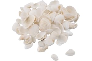 YILANJIN Małe muszle morskie, 180 g, białe muszelki, 2-3 cm, muszelki, duże, naturalne, z morskiej plaży, do rękodzieła, dekoracji domu, rękodzieła, tworzenia świec, wypełniacz wazonu zbiornikowego