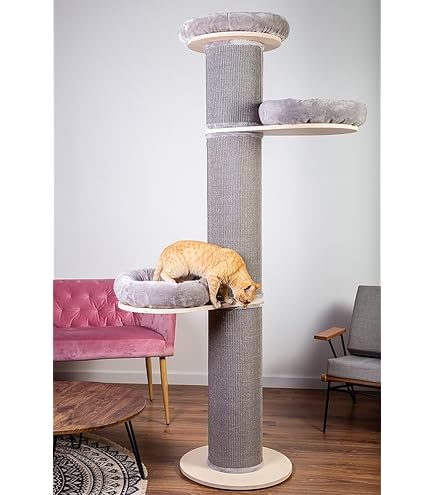 Krabpaal Voor Grote Katten Maine Coon Tower Box Comfort Box Crème Beige