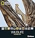 Wildlife 2017 - National Geographics Fotokalender, Naturkalender, Tierkalender - 45 x 48 cm by 