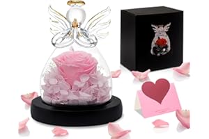 Wentsent Preserved Flowers, Preserved Fresh Flowers Real Rose with LED Light, Handmade Forever Rose in Glass Dome for Mom Women, Mother Day Valentine Gifts Birthday