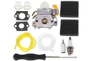 AISEN Carburateur 308054012 avec filtre à air pour taille-haie Ryobi Homelite 25 cc 26 cc 30 cc 46 cc Ryobi Homelite 308054003 308054008 308054013 Zama C1U-H60 Carb 900952001