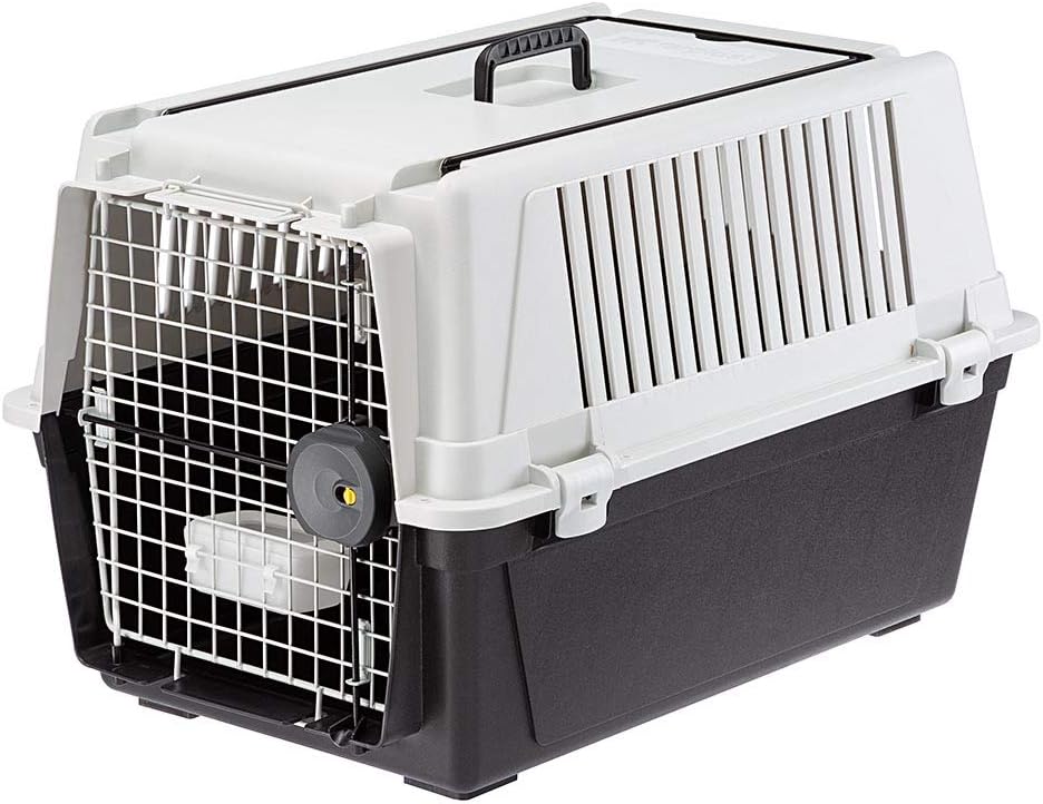 Ferplast Atlas 40 orta boy köpekler için taşıma kutusu, köpek taşıma kutusu, güvenlik kilidi, havalandırma ızgarası, 49 x 68 x y 45,5 cm, gri, Xs