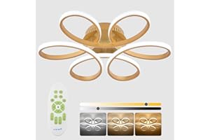 XEMQENER LED Ceiling Lights, 65W Dimmable Chandeliers with Remote & Memory Function, Modern LED Ceiling Lamp Color and Brightness Adjustable for Living Room, Bedroom, Kitchen, Hallway, Office