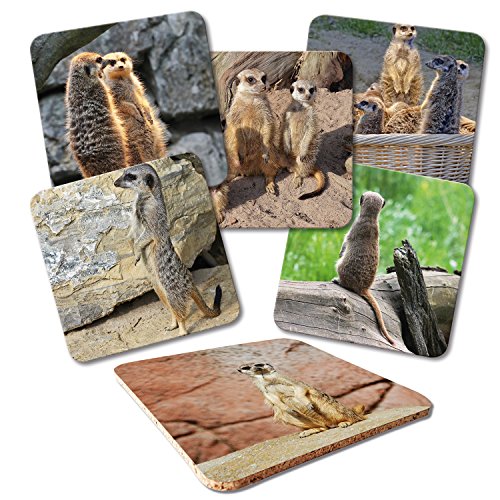 Addies Glas-Untersetzer 6-tlg.Set bedruckt Motiv "ERDMÄNNCHEN" Komplett-Set in hochwertiger Klarsicht-Geschenkbox und Korkrückseite, Tier-Motiv