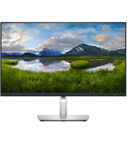 Dell P2423 24 Inch WUXGA (1920x1200) 16:10 Monitor, 60Hz