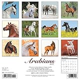 Image de Arabians 2017 Calendar