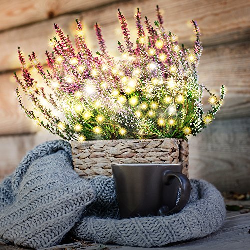 Lichterkette Batterie betrieben 50er LED TaoTronics warmweiß 5m dimbare Kupferdraht wasserdicht Sternenlicht außen und innen mit 8 Betriebsarten, Dekorative Lichter für Ostern Pfingsten Party Hochzeit Feste - 6