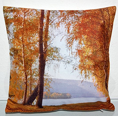 weiche KISSENHÜLLE 40×40 cm Herbstlandschaft am See Kurzvelours Polyester Dekokissen Kissenbezug TREND FOTOprint Kissen Frühling Sommer Herbst (Herbstlandschaft Bunt) - 4