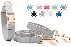 HEYDOGGY Soft Leather Dog Collar and Lead (2 m) Set - 3-Way Adjustable Dog Lead with Collar, Stylish Rose Gold Metal Buckle & Nylon Dog Lead for Puppies Small Medium Large Dogs Grey, S