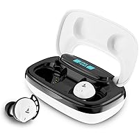 boAt Airdopes 621 Bluetooth Truly Wireless Earbuds with Mic(White Frost)