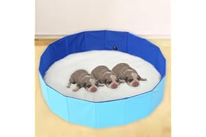 Cdycam Portable Birthing Pool for Dogs and Puppies, Foldable Whelping Pen, Dog Whelping Pool Box, Easy to Clean, Portable Hard Collapsible Pet Swimming Bath Pool (L-32"x8")