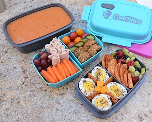 Coolbites Bento-Lunchboxen, brotdose Bento Mittagessen mit Eisbeutel – bis zu 4 Fächern – Für Kinder & Erwachsene – ideal für Zurück zu Shcool … - 5