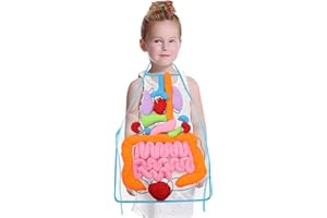 KAKIBLIN Tablier d'orgue 3D, tablier en peluche à faire soi-même pour les étudiants, la sensibilisation aux organes du corps humain, viscères pour enseignants, ustensile d'enseignement pour la maison