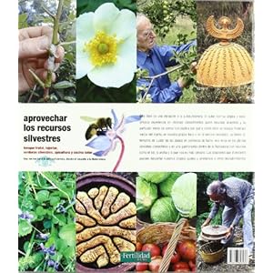 Aprovechar los recursos silvestres: bosque frutal, injertar, verduras silvestres, apicultura y cocina solar