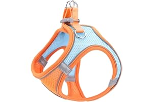AITODOS TA AiTodos® Harnais pour Chien, Harnais pour Chat, Taille S, Orange, Harnais pour Petits Chiens, pour Promenade de Chien en Plein Air, Dressage - Harnais pour Chiens