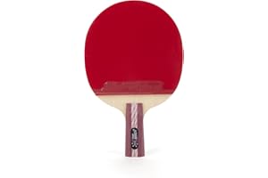 DOUBLE HAPPINESS DHS DHS Ping Pong Paddle A4006, Table Tennis Racket - Penhold