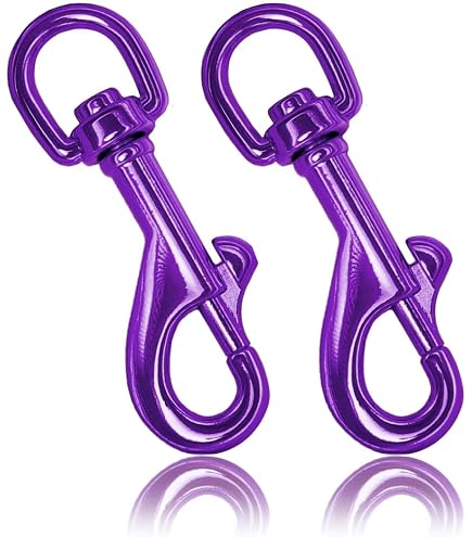 Ganzoo anello a D in acciaio, set 5 pezzi, spessore 5 mm, colore argento, fai da te per collare cani e guinzaglio, antiruggine, ideale con paracord 550, 40x32 mm