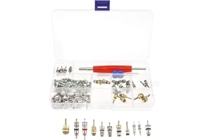 Create Idea Kit de Herramientas de n¨²Cleo de v¨¢lvula de 102 Piezas de n¨²Cleo de neum¨¢ticos de refrigeraci¨®n A/C R134a/R12