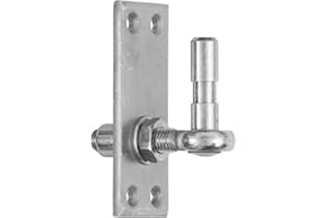 Pollmann Baubeschläge 1070430 Plattenhaken D4 1-fach verstellbar, Dorn Ø 13 mm, hell verzinkt, 2 Stück