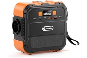 FF FLASHFISH FlashFish Générateur Électrique 98Wh/26400mAh, Station Électrique Portable 120W (crête 240W) avec sortie CA 230V, USB, Type-C charge rapide, Batterie de Secours pour Extérieur, Camping, Jardin,Voyage