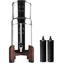 Phoenix Gravity - Filtre à Eau 6L En Inox AISI 304 - Élimine 99,9% Des Contaminants - Sans électricité