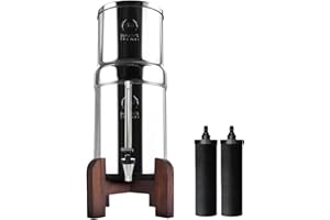 Phoenix Gravity Filtro y purificador de agua potable de acero inoxidable alimentado por gravedad de 6 litros con 2 cartuchos de filtro de agua de carbono Phoenix, grifo de acero inoxidable y grifo