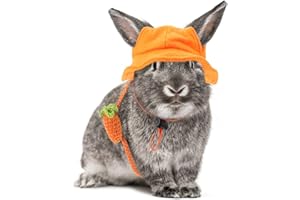PATKAW 1 Set Small Animal Hat and Bag Rabbit Hat Bunny Hamster Caps for Guinea Pig Ferret Sugar Glider Rodent Orange