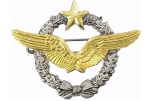 Drago Insigne Brevet Pilote Armée de l’Air