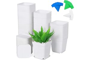 Moendergo 60 szt., 6,6 cm, plastikowe kwadratowe doniczki na sadzonki, doniczki do przesadzania z talerzami i etykietami na rośliny, na sukulenty, rośliny wężowe, aloes (białe)