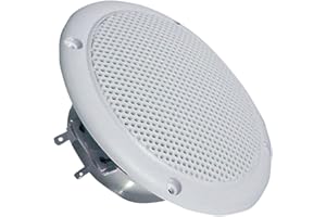 BEST PRICE SQUARE Visaton VS-FR10WP/4 - Altavoz (10,16 cm (4"), 20W, 30W, 80 – 16000 Hz, 2 cm, Color blanco)