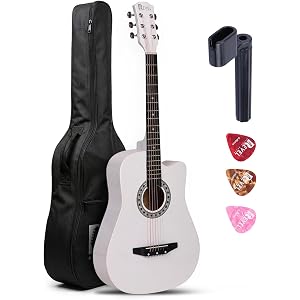 Revel 38 Inch Acoustic Guitar Cutaway Wooden Guitar with High-Gloss Finish, Steel Strings, Smooth Tuning Pegs, Includes Carry Bag & Picks | Acoustic Guitar for Beginners and Adults. (White)