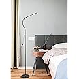 LED Floor Lamp, Adjustable Gooseneck Standing Lamp with 3 Color Temperature 3000K-6000K, 2 in 1 Modern Desk Reading Lamp for Living Room, Bedroom and Office, Black (BB)