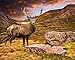 Produktbild Eurographics DPA-DT81040 Leinwanddruck auf Holzträger, Wild Deer In The Mountains, bunt, 40 x 50 x 2,6 cm