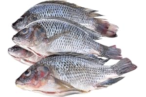 LONDON GROCERY Frozen Gutted and Scaled Black Tilapia 2.5kg x 2 Packs