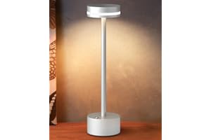 FUNTAPHANTA LED Battery Operated Cordless Table Lamp with Touch Sensor, Aluminum Lamp Body, 3 Level Dimming, 4000mAh Rechargeable Battery, 3000K Warm Light, for Dining Table (Silver)