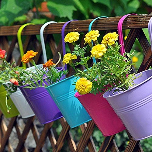 Hängetöpfe Übertopf balkon Blumentopf von Colleer, 10 Stück/10 Farben Eisen hängend Balkontopf Pflanztopf Set (mit Haken) ideal für Balkon Fenster Garten Deck Terrasse Zaun (10pcs) - 2
