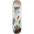 Globe Skateboard G1 Stack