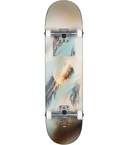 Skateboard Complet Globe G2 Ramones 8.0 Rocket To Russia - Noir Avec Tensor